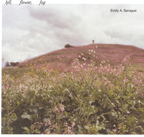 Emily a Sprague: Hill, Flower, Fog