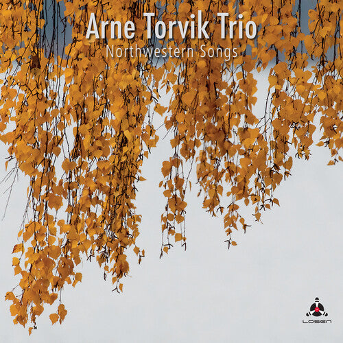 Arne Torvik Trio: Northwestern Songs