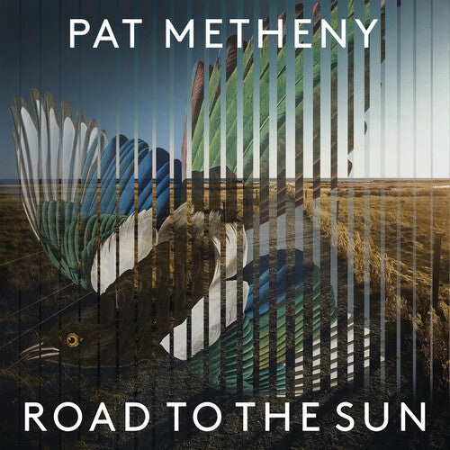 Pat Metheny: Road To The Sun