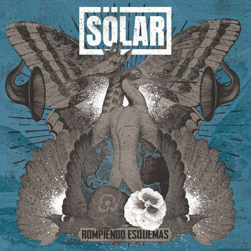 Solar: Rompiendo Esquemas