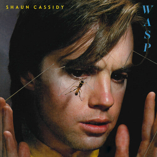 Shaun Cassidy: WASP