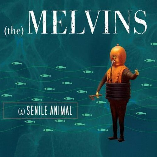 The Melvins: (A) Senile Animal