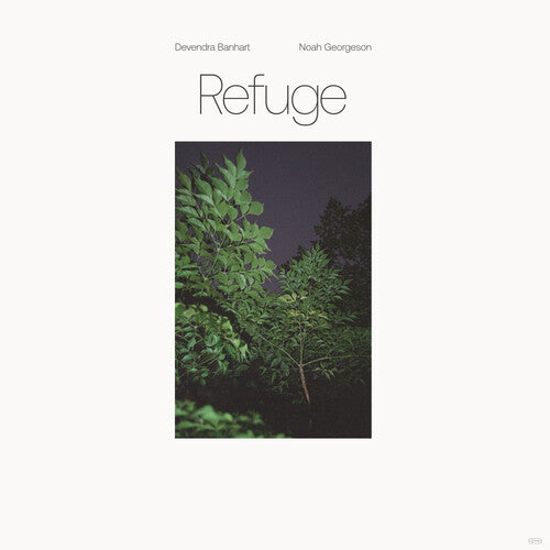 Devendra Banhart: Refuge (Blue Seaglass Wave Translucent Vinyl)