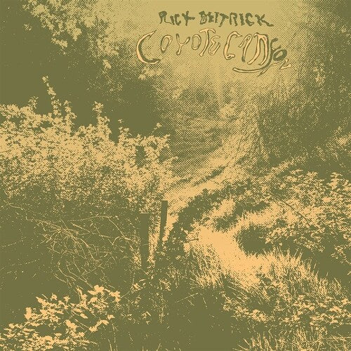 Rick Deitrick: Coyote Canyon