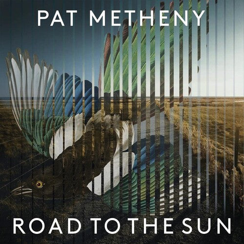 Pat Metheny: Road To The Sun