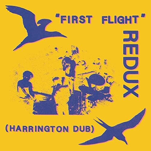 Chris Forsyth: First Flight Redux (Harrington Dub)
