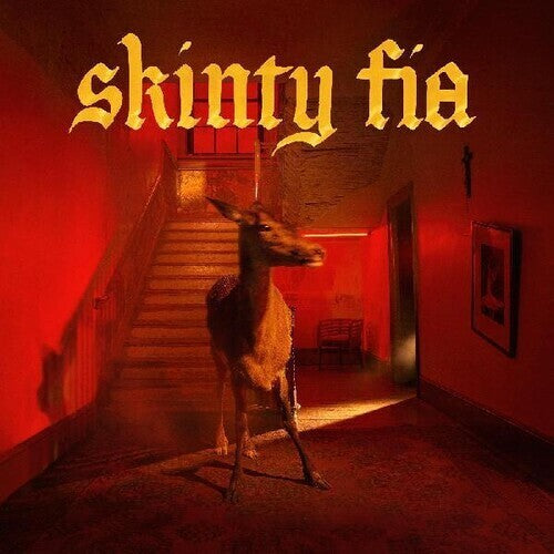 Fontaines D.C.: Skinty Fia