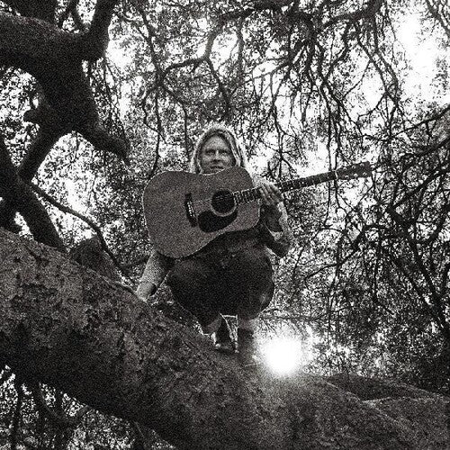 Ty Segall: Hello Hi