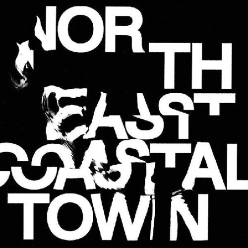 The Life: North East Coastal Town