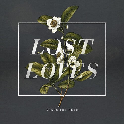 Minus the Bear: Lost Loves