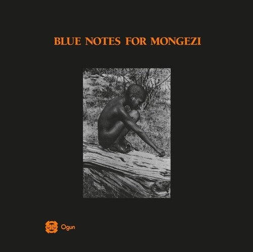 The Blue Notes: Blue Notes For Mongezi