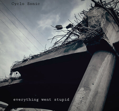Cyclo-Sonic: Everything Went Stupid