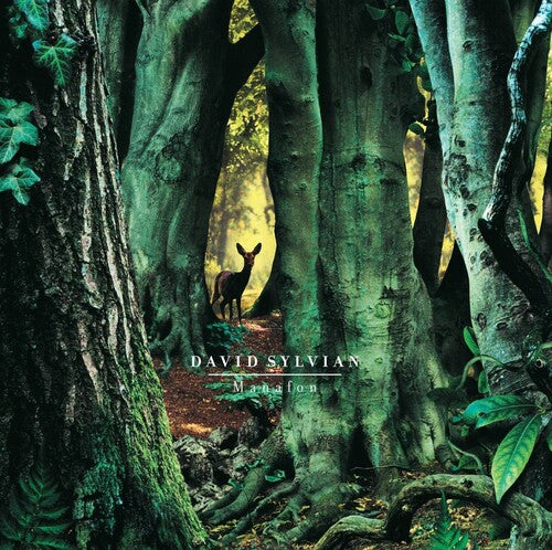 David Sylvian: Manafon