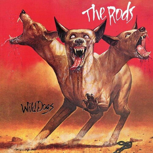 The Rods: Wild Dogs - Orange