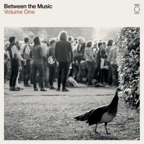 Various Artists: End Of The Road Presents: Between The Music / Various - White Colored Vinyl