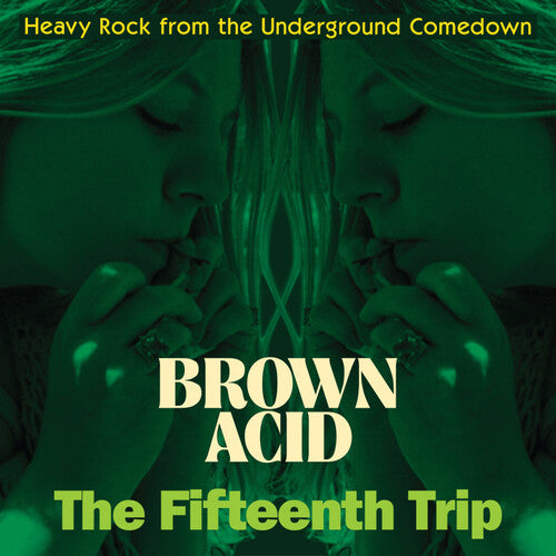 Various Artists: Brown Acid - The Fifteenth Trip (Various Artists)