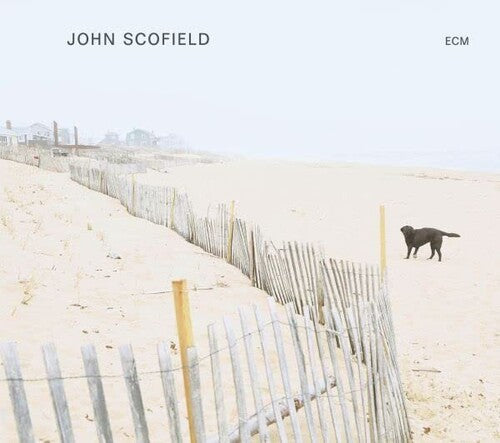 John Scofield: John Scofield