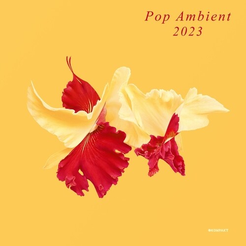 Various Artists: Pop Ambient 2023
