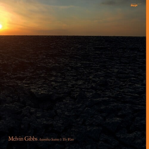 Melvin Gibbs: Anamibia Sessions 1: The Wave