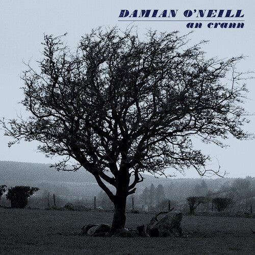 Damian O'Neill: An Crann