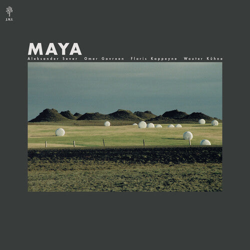 Omer Gorveen: Maya