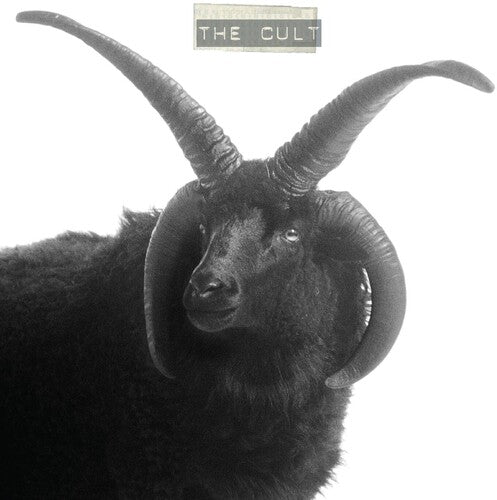 The Cult: The Cult