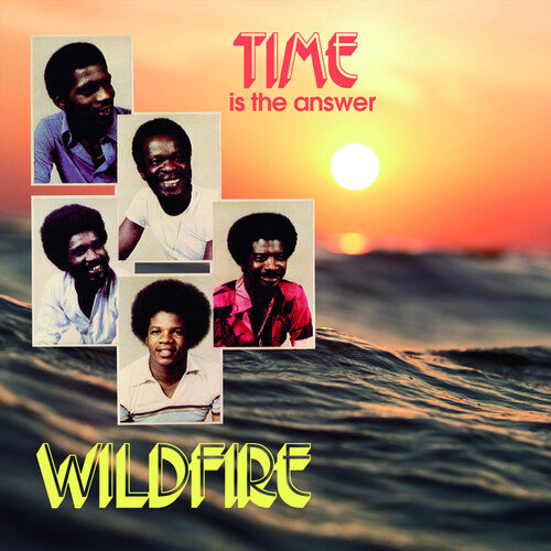 Wildfire: Time Is The Answer