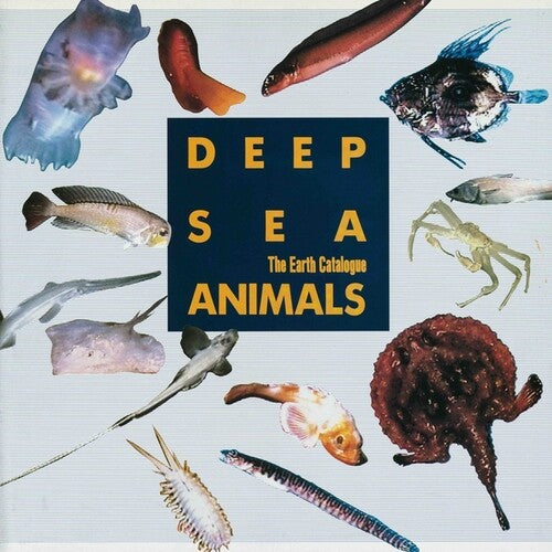 Various Artists: Deep Sea Animals