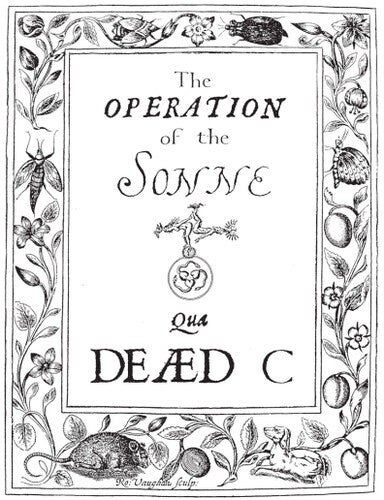 The Dead C: Operation Of The Sonne