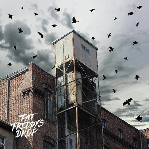 Fat Freddy's Drop: Blackbird Returns