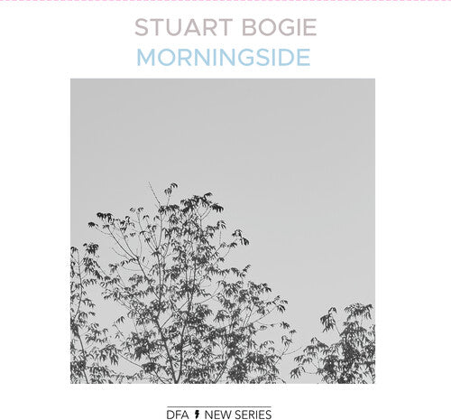 Stuart Bogie: Morningside