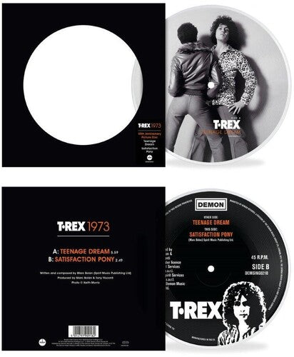 T.Rex: Teenage Dream: 50th Anniversary - Limited Picture Disc 7-Inch Vinyl