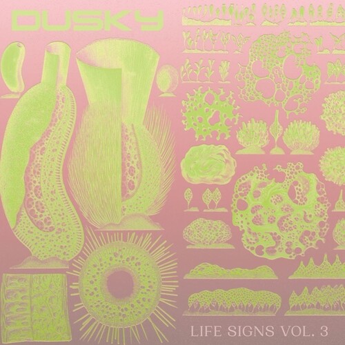 Dusky: Life Signs, Vol. 3