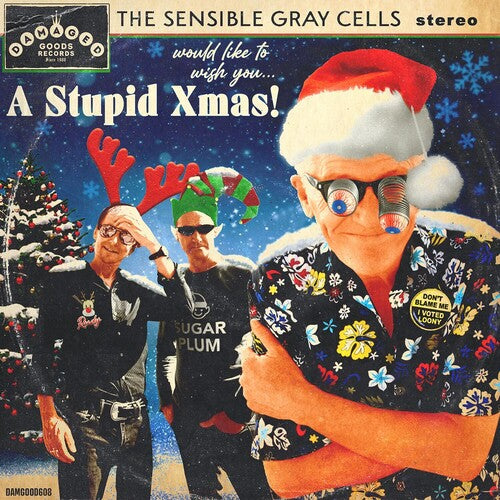 Sensible Gray Cells: A Stupid Xmas!