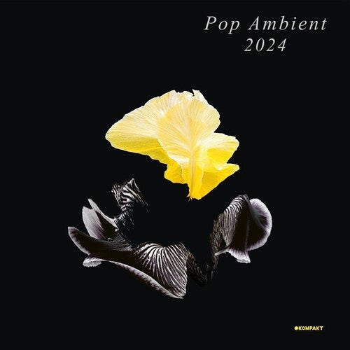 Various Artists: Pop Ambient 2024