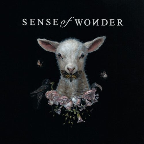 Sense of Wonder: Sense of Wonder