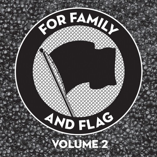 Various Artists: For Family And Flag 2 (Various Artists)