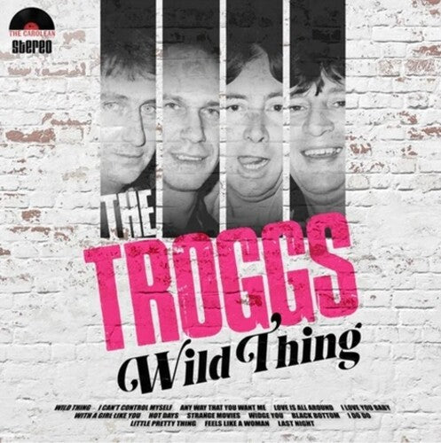 The Troggs: Wild Thing