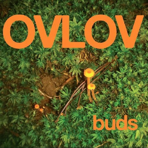 Ovlov: Buds