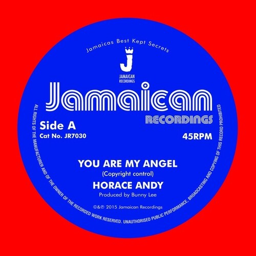 Horace Andy: You Are My Angel/Version