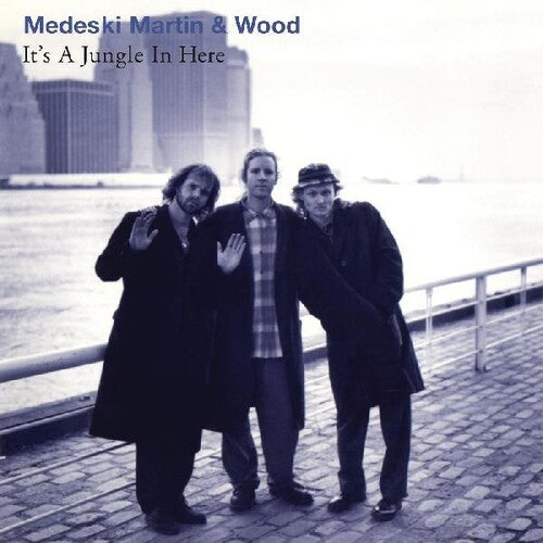 Martin Medeski & Wood: It's A Jungle In Here