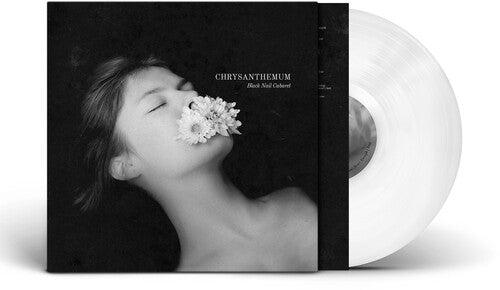 Black Nail Cabaret: Chrysanthemum - Solid White