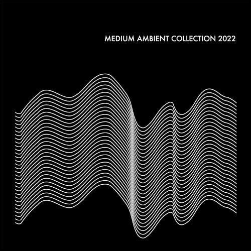 Various Artists: Medium Ambient Collection 2022 Black / Various