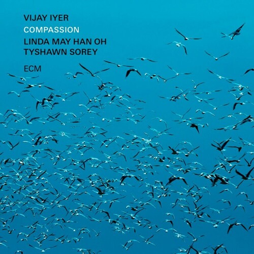 Vijay Iyer: Compassion