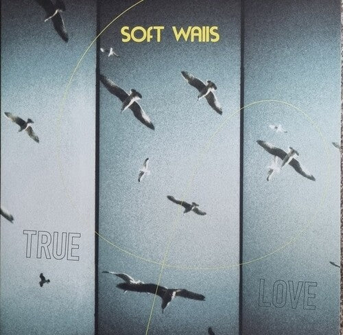 Soft Walls: True Love