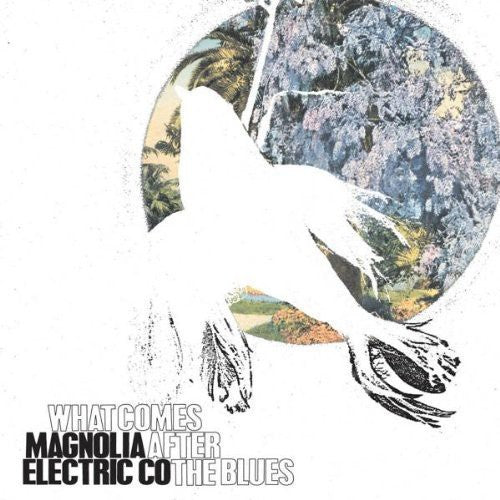 Magnolia Electric Co.: What Comes After the Blues